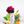 Delta - Soft Floral Diffuser Oil