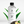 Dream One Fragrance Oil