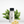 Beach House Fragrance Oil