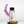 Cashmere Fragrance Oil