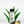 Dream One Fragrance Oil