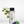 Wild Blossom Floral Diffuser Oil
