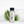 Fresh & Clean - Luxury Diffuser Oil Refill