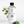 Wild Blossom Floral Diffuser Oil